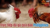 Nhà cái Sv388 –  Link đăng ký trang đá gà Philippines tốt nhất hiện nay
